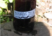 How To Make Worm Tea To Supercharge Your Garden & Plants...
