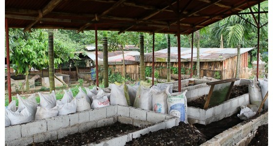50 Square Meters Of Worm Composting Beds Producing 11k Liters Of Worm Poo Every 45 Days...