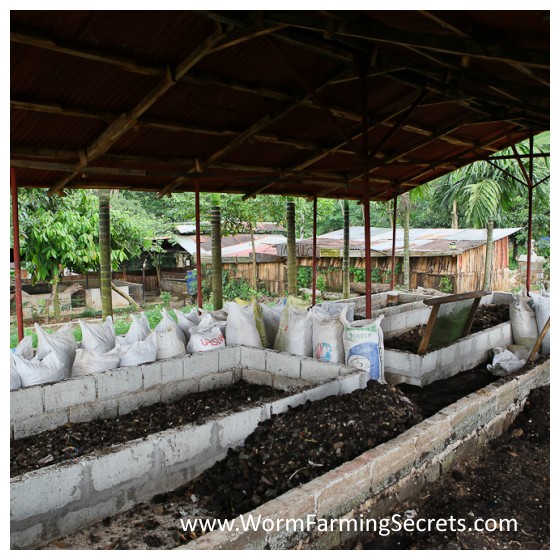 50 Square Meters Of Worm Composting Beds Producing 11k Liters Of Worm Poo Every 45 Days...