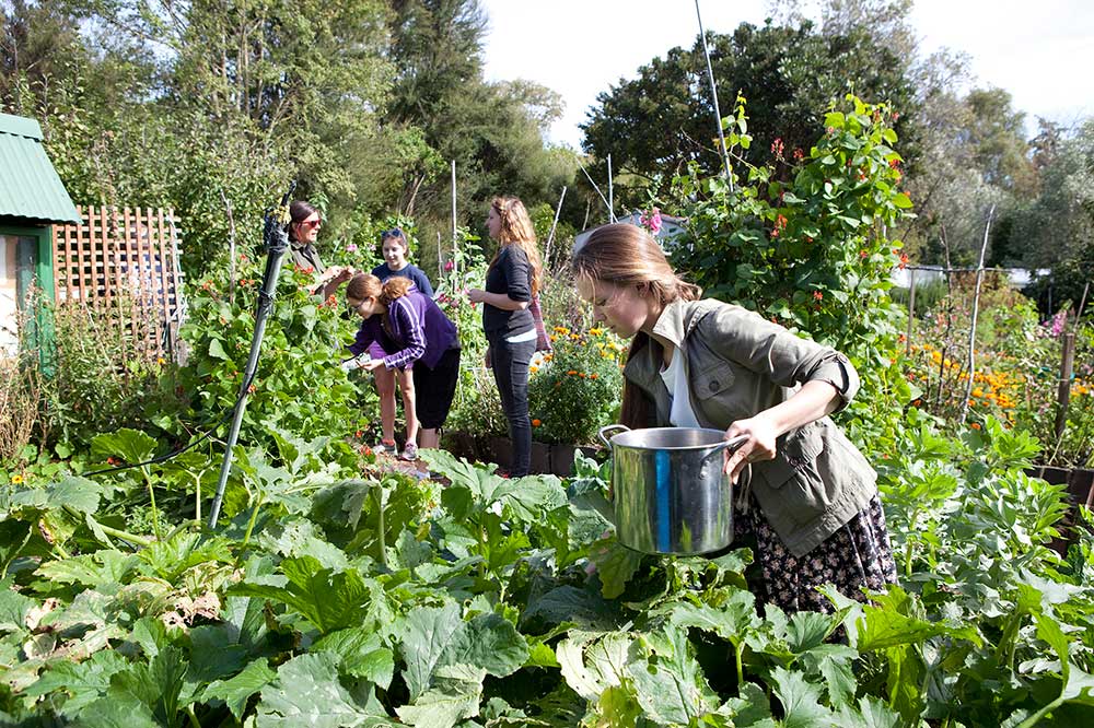 Successfully Using Worm Tea In The Community & Market Garden...